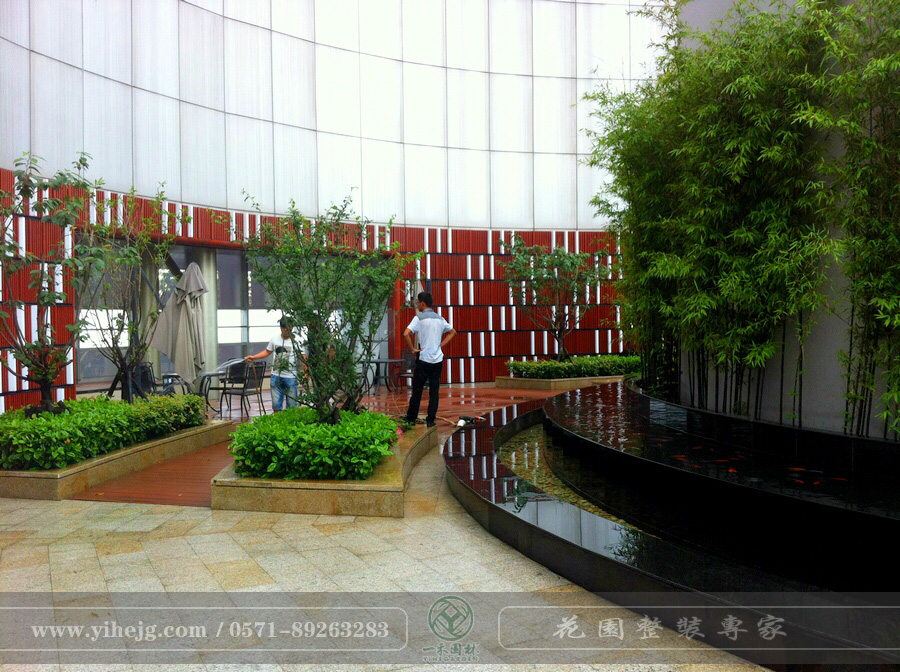 浙江省建設(shè)銀行屋頂花園景觀(guān)綠化｜屋頂花園景觀(guān)設(shè)計(jì)｜屋頂花園景觀(guān)施工