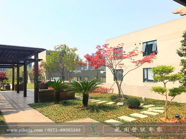 我有一方屋頂露臺，盛載悠然流年