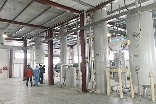 年關(guān)將至，鄭州企鵝喜迎埃塞俄比亞客戶(hù)！