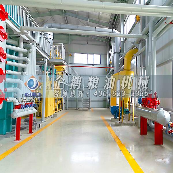棉籽油加工成套設備,企鵝品牌名實相符(圖1) 棉籽油浸出設備